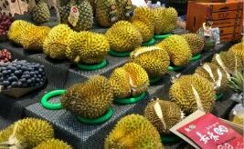 “果籃子”越做越大 我國(guó)近七成進(jìn)口瓜果來(lái)自東盟