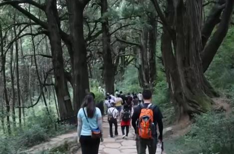 “冰雪+補(bǔ)貼”“彩林+溫泉”“秋假+研學(xué)”齊發(fā)力 文旅市場激蕩消費(fèi)新活力