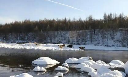 興安盟激活冰雪“冷資源” 打造旅游“熱產(chǎn)業(yè)”