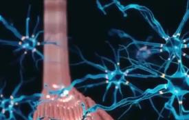 我國科學(xué)家在神經(jīng)疾病治療領(lǐng)域取得新突破