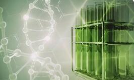 多重利好驅(qū)動 萬億級生物制造賽道將迎黃金發(fā)展期