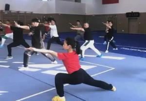 我國(guó)牽頭的首個(gè)武術(shù)培訓(xùn)ISO國(guó)際標(biāo)準(zhǔn)成功立項(xiàng)