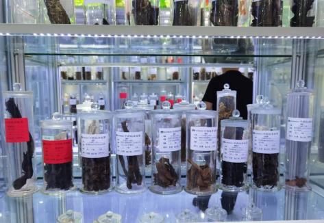 一?！爸兴帯比绾芜甸_“世界之門”？