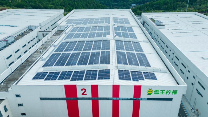 綠電賦能，鵬峰光伏為重慶潼南特色農(nóng)業(yè)發(fā)展注入綠色動(dòng)能