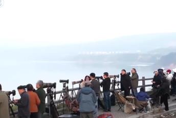 “觀鳥經(jīng)濟(jì)”點(diǎn)綠成“金” 賞天鵝、游濕地催熱冬日文旅消費(fèi)