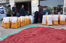 爭(zhēng)分奪秒保秋糧、穩(wěn)豐收