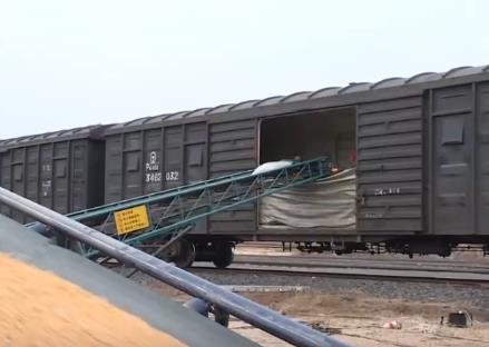 智慧運輸！創(chuàng)新“組合拳”保障糧食運輸“大動脈”智能、綠色、高效