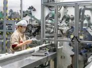 今年前10月福建嬰兒紙尿出口領跑全國 企業(yè)投資擴產(chǎn)迎機遇