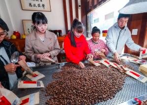 浙江諸暨：黨建引領打造香榧之鄉(xiāng)共富產(chǎn)業(yè)鏈