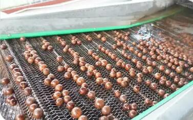 小堅果成就大產(chǎn)業(yè) 廣東陽春將“綠色家底”轉(zhuǎn)化為發(fā)展優(yōu)勢