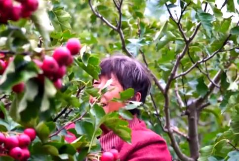 新亮點、新業(yè)態(tài)“熱”力十足助農(nóng)增收 我國鄉(xiāng)村產(chǎn)業(yè)蓬勃興旺、韌性強