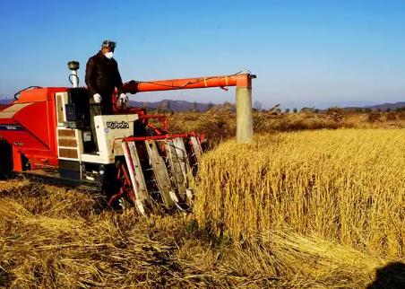 河南“十五五”強(qiáng)農(nóng)惠農(nóng)富農(nóng)信號(hào)鮮明