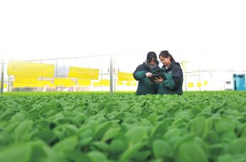 四川農(nóng)業(yè)以“圈”“鏈”破局謀升級(jí)　探索從“賣原料”到做產(chǎn)業(yè)