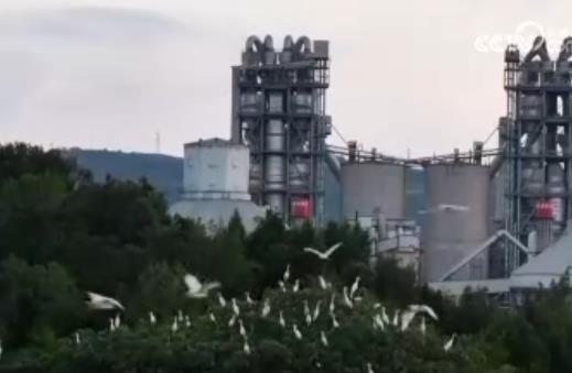 前11個月新興產(chǎn)業(yè)持續(xù)壯大 智能設(shè)備制造業(yè)銷售收入同比增長28.2%