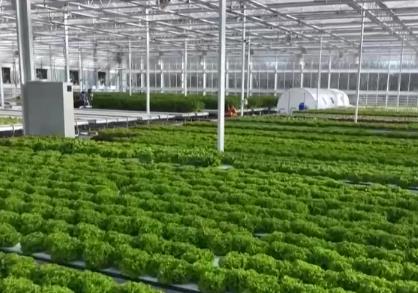 “三農(nóng)”融資成本降低服務(wù)農(nóng)業(yè)增產(chǎn)、農(nóng)民增收 智慧農(nóng)業(yè)等領(lǐng)域貸款增長(zhǎng)明顯