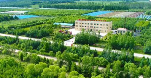 龍江森工集團深耕森林農(nóng)業(yè)“責(zé)任田” 托牢糧食安全“壓艙石”