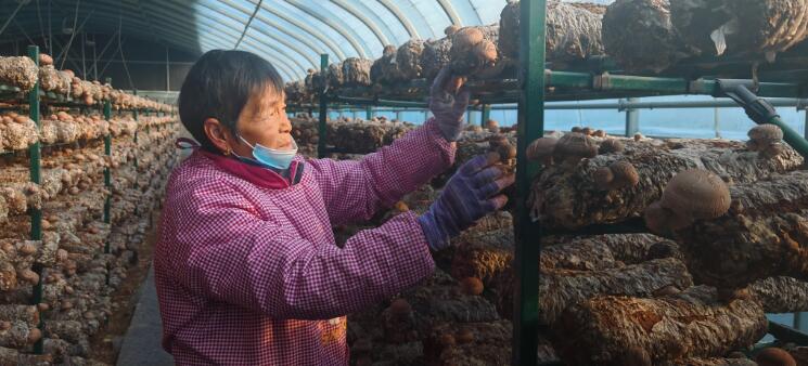 20251211154452966.jpg 20251211154452966.jpg