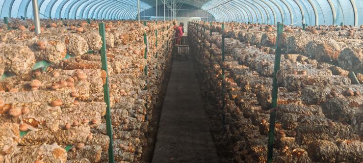 20251211154509906.jpg 20251211154509906.jpg