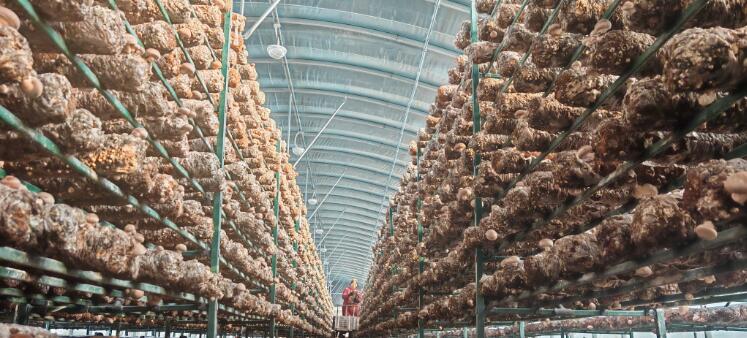 20251211154525968.jpg 20251211154525968.jpg