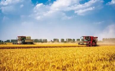 山西省糧食產(chǎn)量連續(xù)穩(wěn)定在290億斤以上