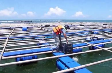 廣東省農業(yè)農村廳：已累計建成重力式深水網(wǎng)箱7498個，居全國第一