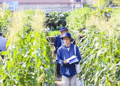 廣東有“種”！種業(yè)振興“五年見成效”創(chuàng)新實踐成績單來了