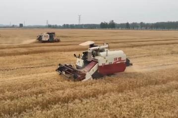 超1.4萬億斤！2025年全國糧食實現(xiàn)豐收