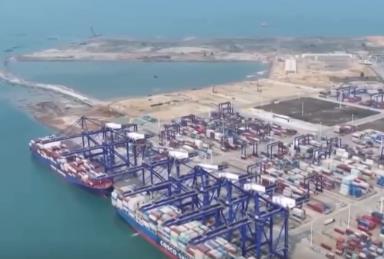 “船未到、手續(xù)已辦畢” 洋浦港持續(xù)釋放改革活力 集裝箱吞吐量創(chuàng)新高