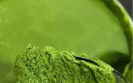 我國(guó)抹茶產(chǎn)業(yè)加速崛起