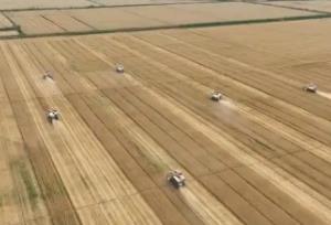 “十四五”新建改造高標準農(nóng)田4.6億畝 為端穩(wěn)“中國飯碗”提供“硬支撐”