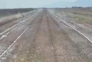 良種良技良法助力來年好“豐”景 特色農(nóng)業(yè)開啟鄉(xiāng)村振興“新引擎”