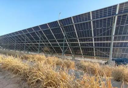 “光伏+”打通鹽堿地多元化利用路徑