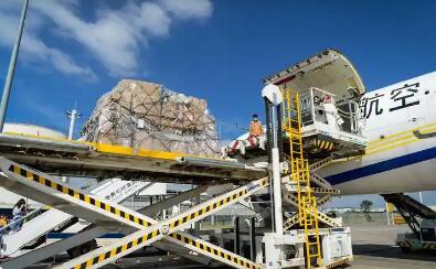 民航局發(fā)布《民用航空貨物運輸備案事項實施辦法》