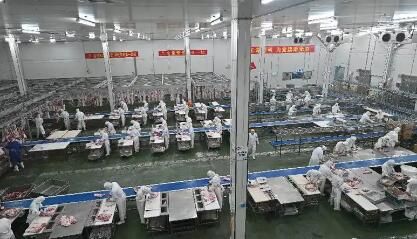 “中原糧倉(cāng)”變身“國(guó)人廚房” 河南原陽(yáng)：從“種得好”走向“造得優(yōu)”