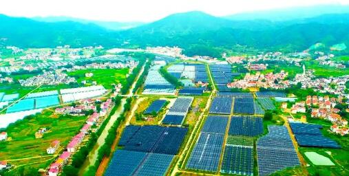 江西省贛州市于都縣富硒產業(yè)鋪就鄉(xiāng)村振興黃金路