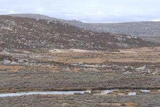 登至4300米！考古刷新青藏高原東部人類遷徙紀(jì)錄