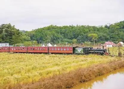 廣東：繪就文明新底色 賦能發(fā)展新畫(huà)卷