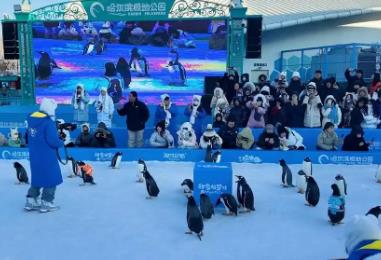 “冰雪+”叫響文旅IP！黑龍江深挖冰雪資源 催熱冬日經(jīng)濟(jì)