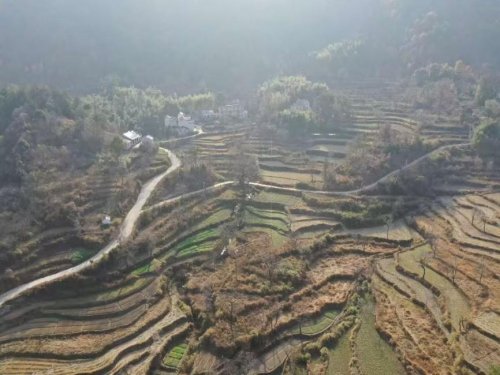 羅田煙草：鋪就鄉(xiāng)村振興“路”， 煥發(fā)鄉(xiāng)村新容顏