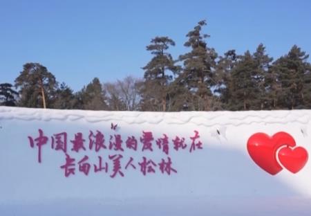 愛(ài)情森林、冰雪研學(xué)……解鎖“冰雪+”新場(chǎng)景 冬季文旅消費(fèi)煥發(fā)新活力