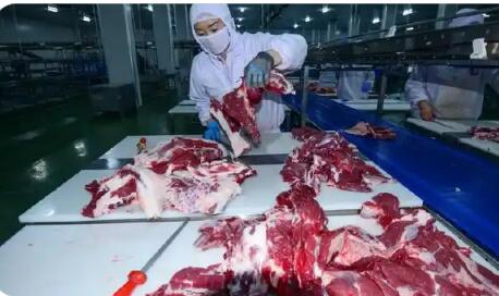 進(jìn)口牛肉激增，誰(shuí)來(lái)“保障”國(guó)內(nèi)產(chǎn)業(yè)健康發(fā)展？