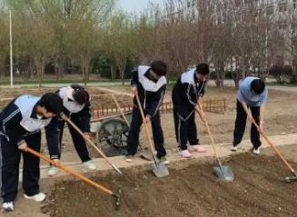 既有“動(dòng)手之樂(lè)”，又要“育人之深”  勞動(dòng)課如何教、如何學(xué)