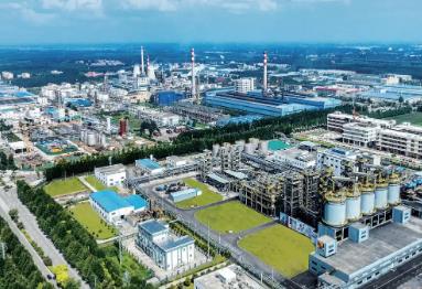 濟寧這一年｜招商引資繪就高質(zhì)量發(fā)展新畫卷