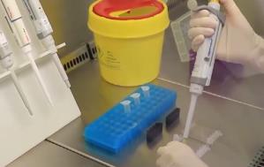 2025年我國(guó)累計(jì)發(fā)布226項(xiàng)食品農(nóng)產(chǎn)品安全領(lǐng)域國(guó)家標(biāo)準(zhǔn)物質(zhì)