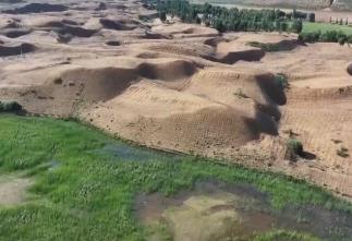 “十四五”我國林草種苗工作取得新進展 “三北”工程完成建設(shè)任務(wù)超2億畝