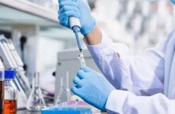 國(guó)家藥監(jiān)局：2025年我國(guó)藥品抽檢合格率99%以上