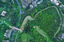 “十四五”期間，廣東生態(tài)環(huán)境質(zhì)量走在全國前列