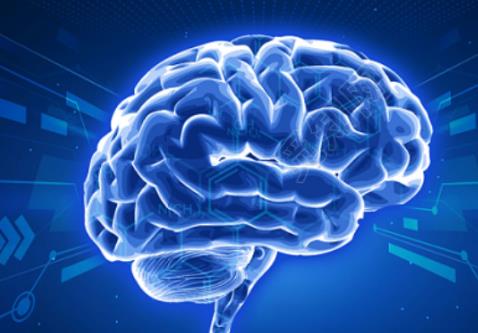 首個中國人群全生命周期腦圖表成功構(gòu)建