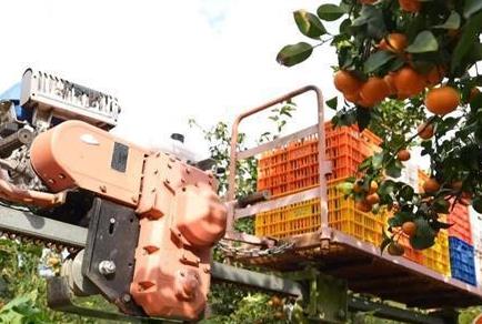 科技賦能“中國(guó)柑橘之鄉(xiāng)” 智慧種植助力鄉(xiāng)村振興