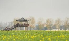 超800萬游客的選擇 湖北“袖珍”縣城變身消費熱土